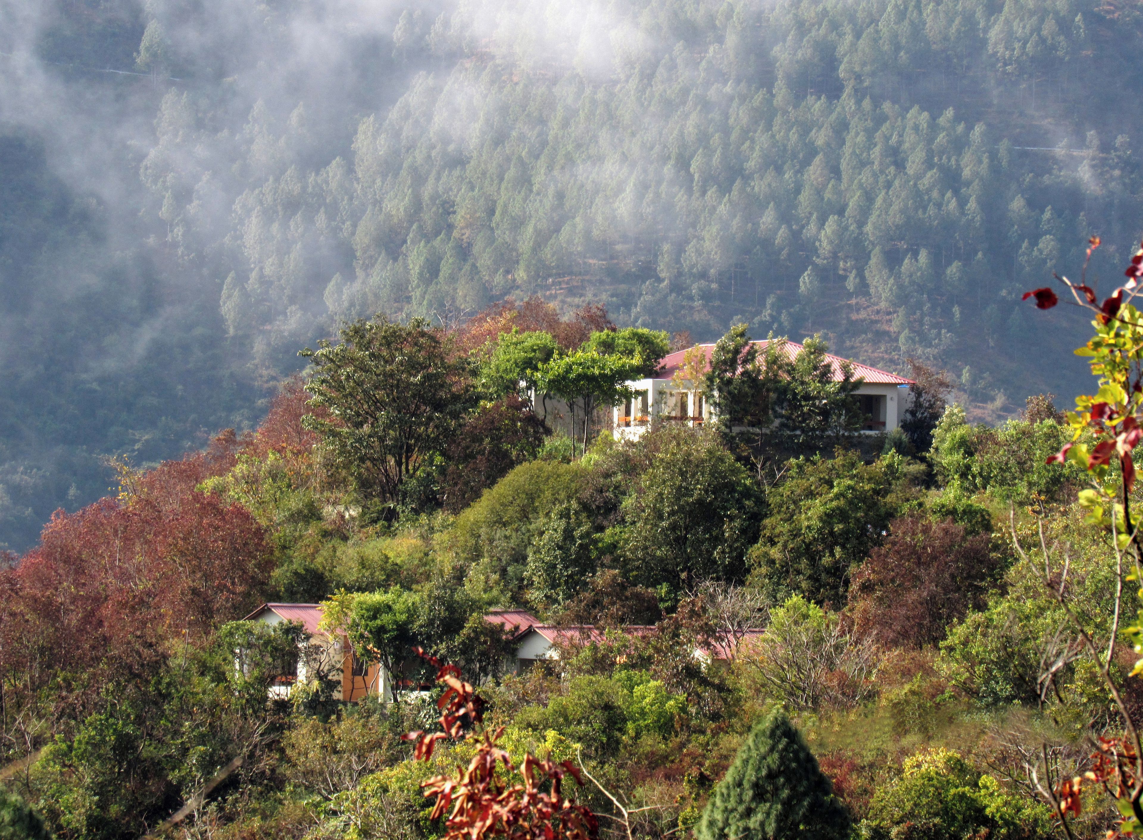 A mountainous landscape with a house surrounded by dense forest and trees with autumn foliage.