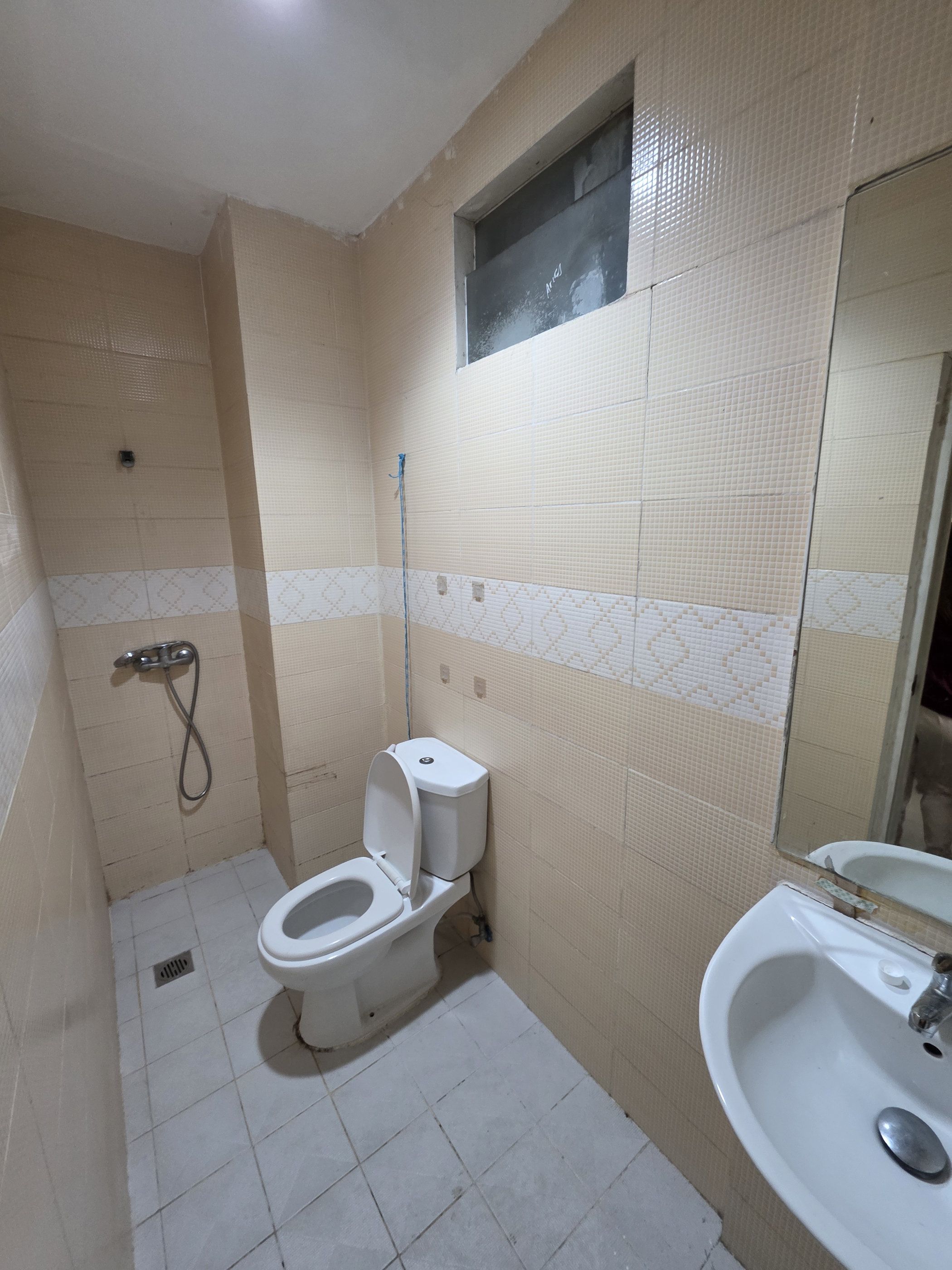 A small bathroom with a toilet, a sink, and a shower.