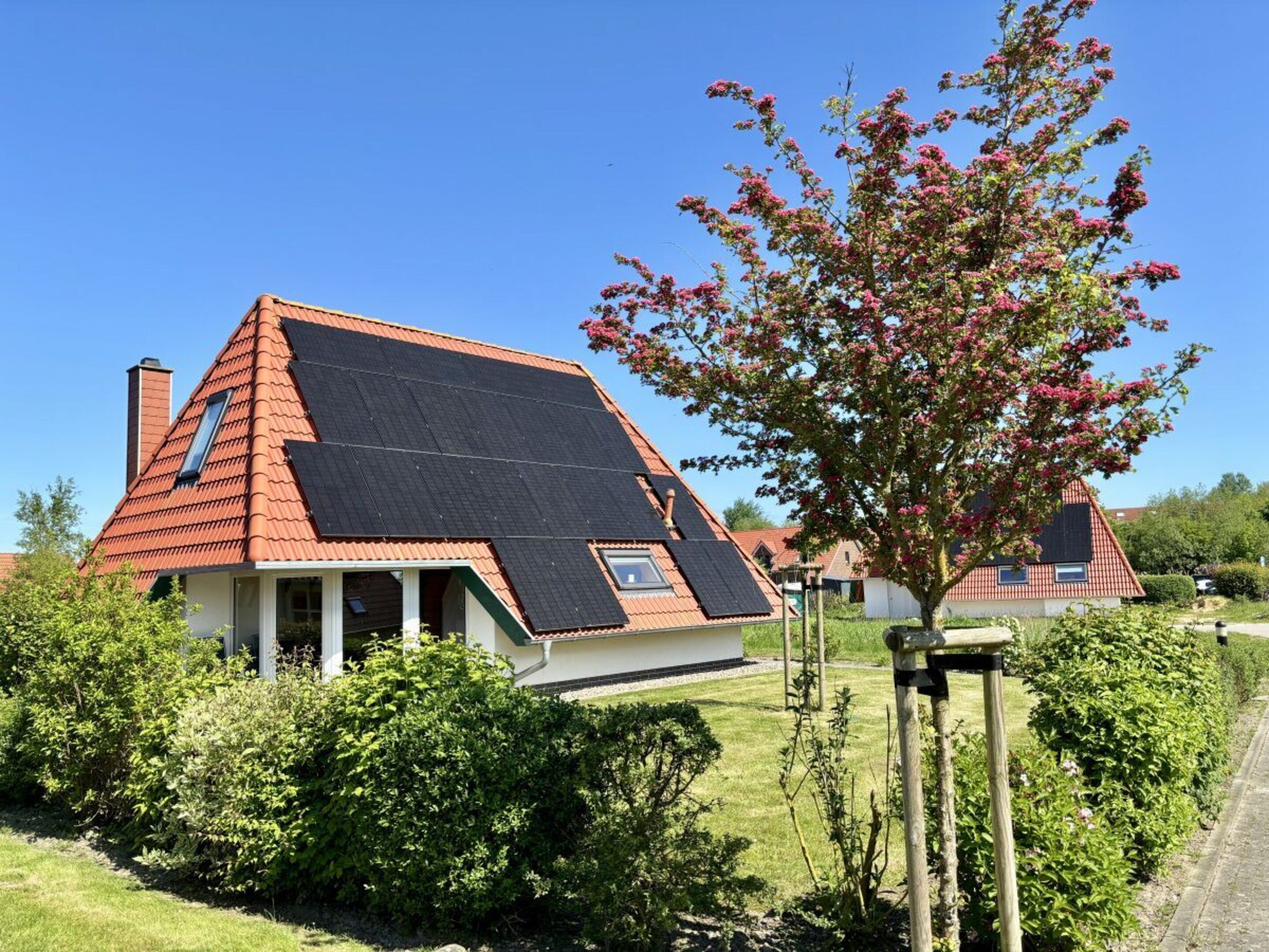 Et hus med skråt tag, solpaneler og en have med et blomstrende træ.