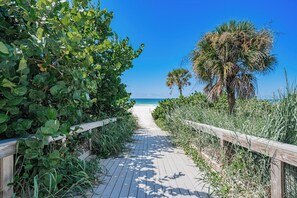 A wooden boardwalk leading to a beach with palm trees and dense foliage on either side. - Blue Lagoon at White Sands| 2br/1ba close to beach (Indian Rocks Beach)