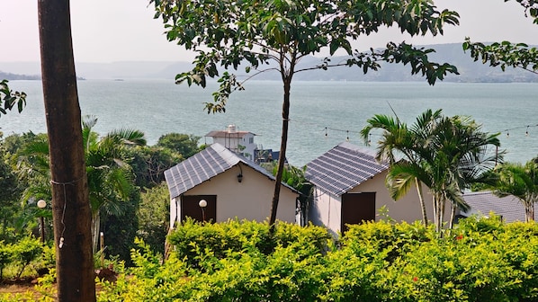 A coastal property with two small buildings, one with a solar panel roof, surrounded by lush greenery and overlooking the sea.