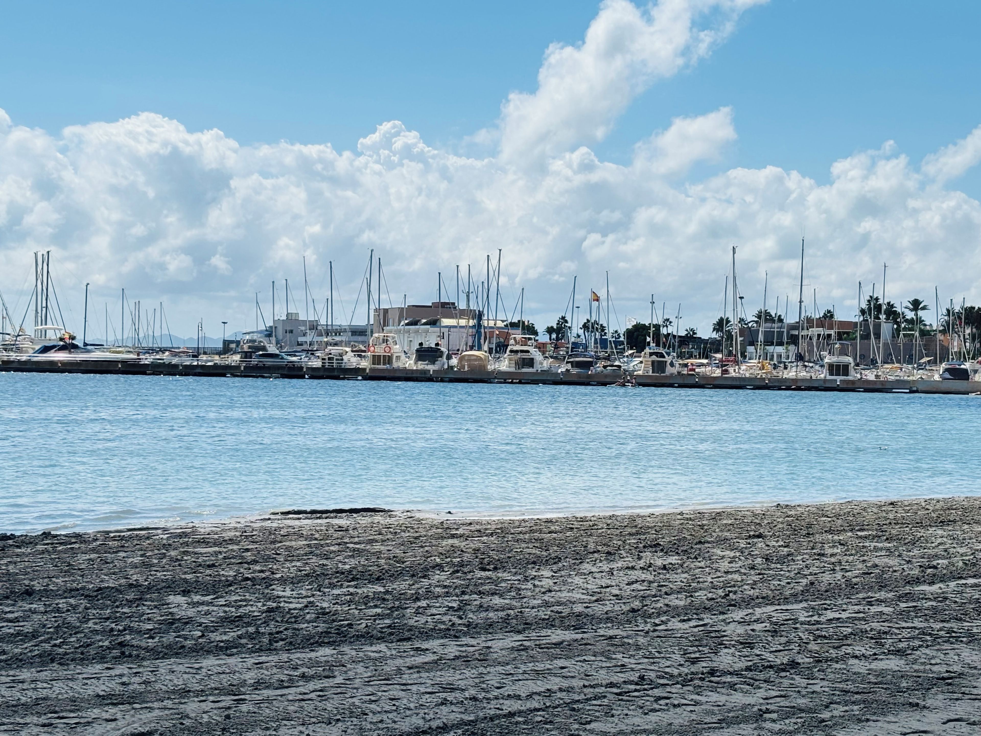 A marina with boats docked, a sandy beach, and a clear sky.