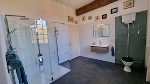 A modern bathroom with a glass shower enclosure, a wooden vanity, a toilet, and a large mirror.