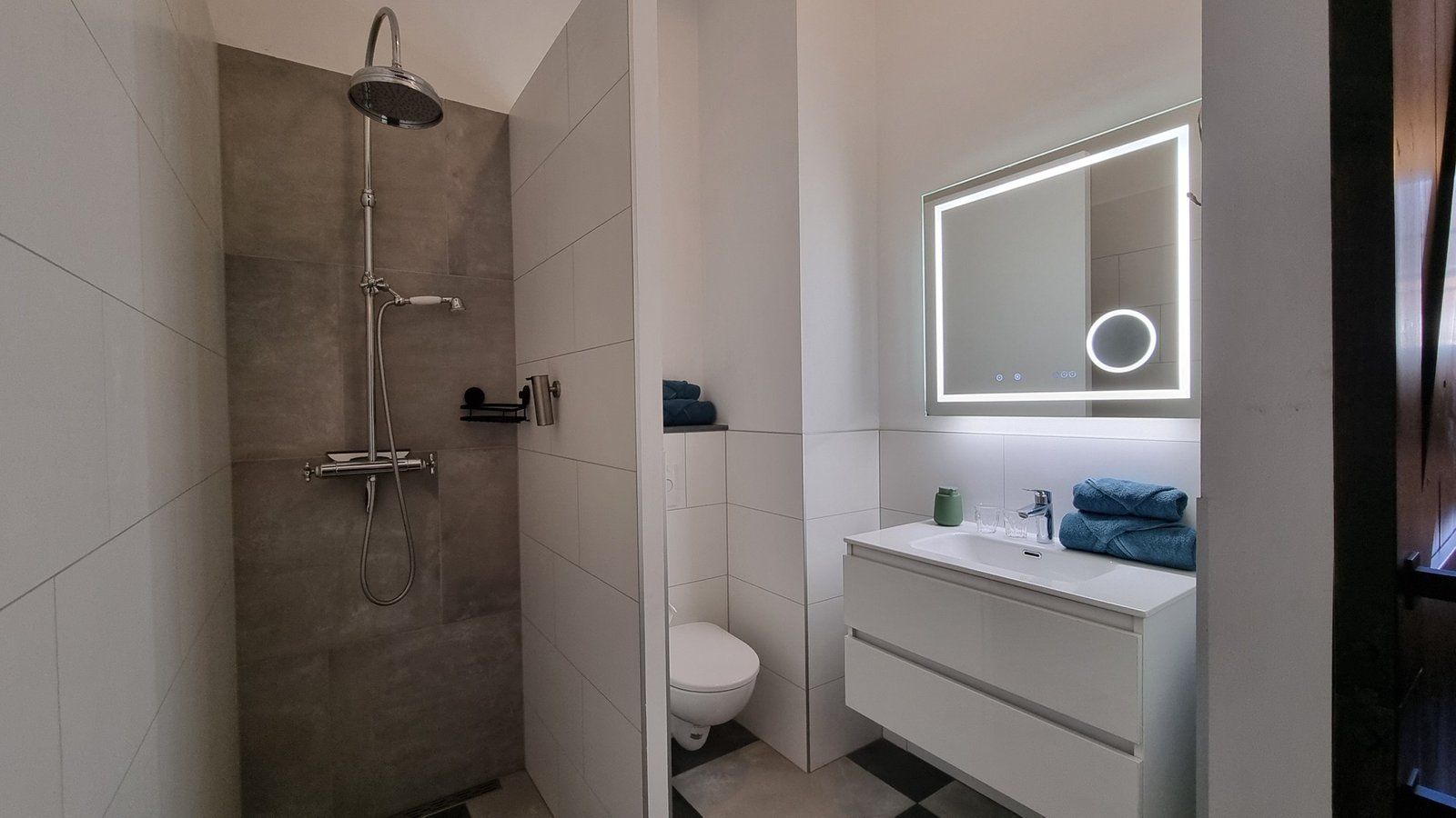 Een moderne badkamer met een inloopdouche, toilet en een wastafel met spiegel.