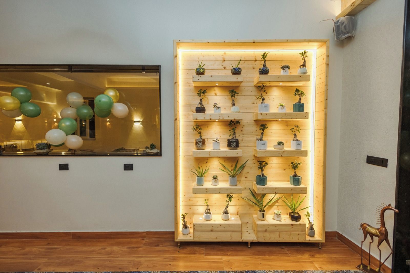 A room with a wooden floor, a wall-mounted shelf unit with potted plants, and a window with balloons.