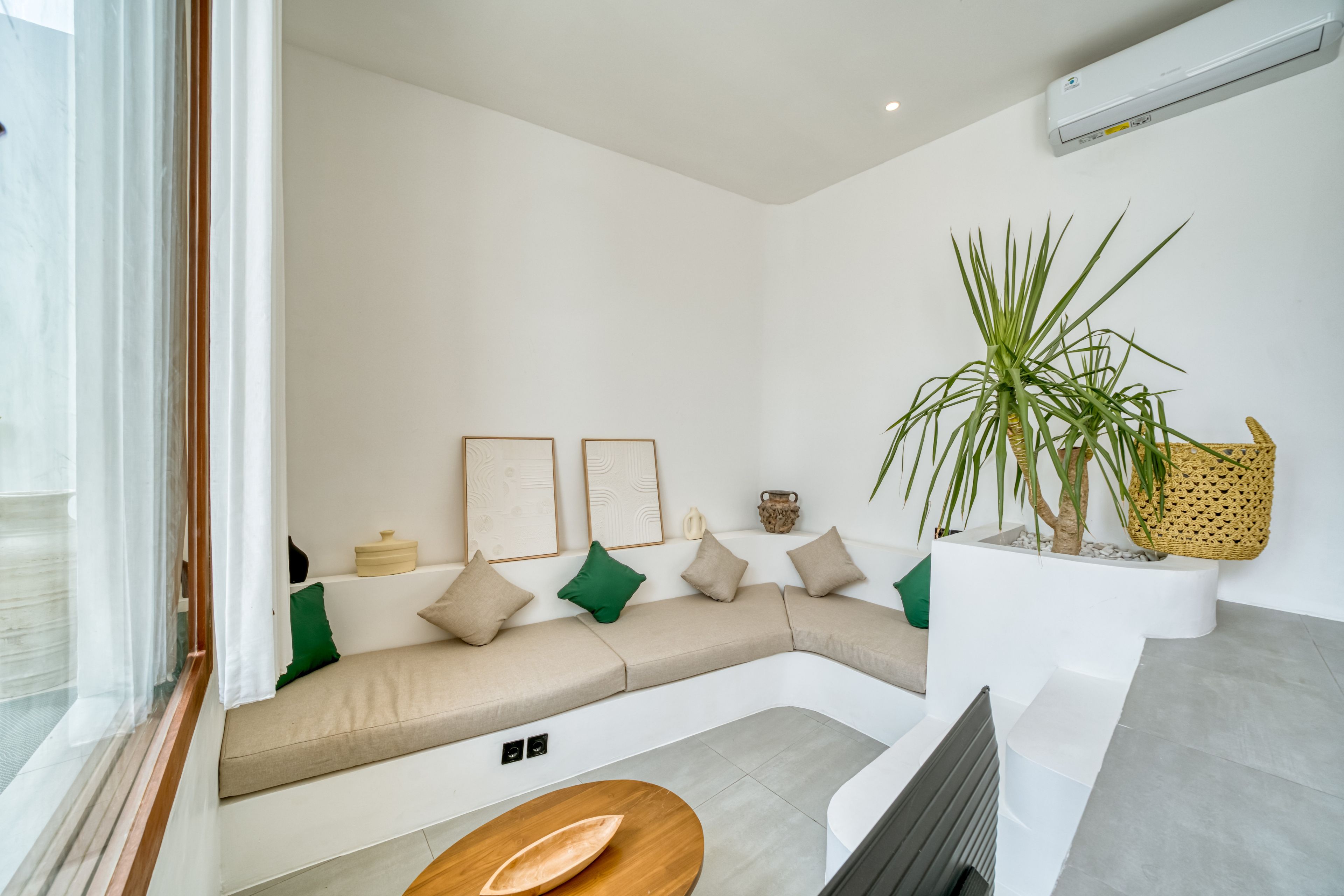 A modern living room with a curved sofa, a wooden coffee table, and a large potted plant.