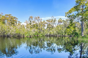 A calm body of water reflecting trees and sky. - Otter Creek Cabin - Horse Creek Retreat Arcadia (Arcadia)