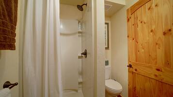Une salle de bain avec douche, toilettes et porte en bois.