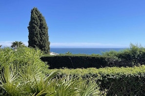 A coastal landscape with a tall coniferous tree, manicured hedges, and a clear view of the sea. - Holiday apartment Le Petit Lézard (Cavalaire)