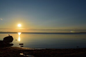 En stilla vattenyta som speglar solen, med stenar och en fågel på stranden.