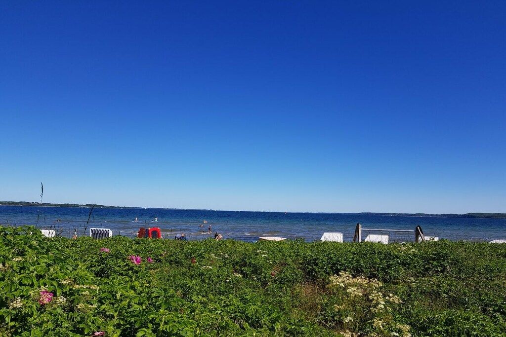 A coastal view with a clear sky, a body of water, and a grassy foreground with some flowers.
