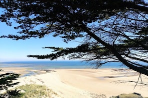 A beach with a clear view of the ocean and a tree in the foreground. - Holiday home with 1 bedroom (Les Moitiers-d'Allonne)