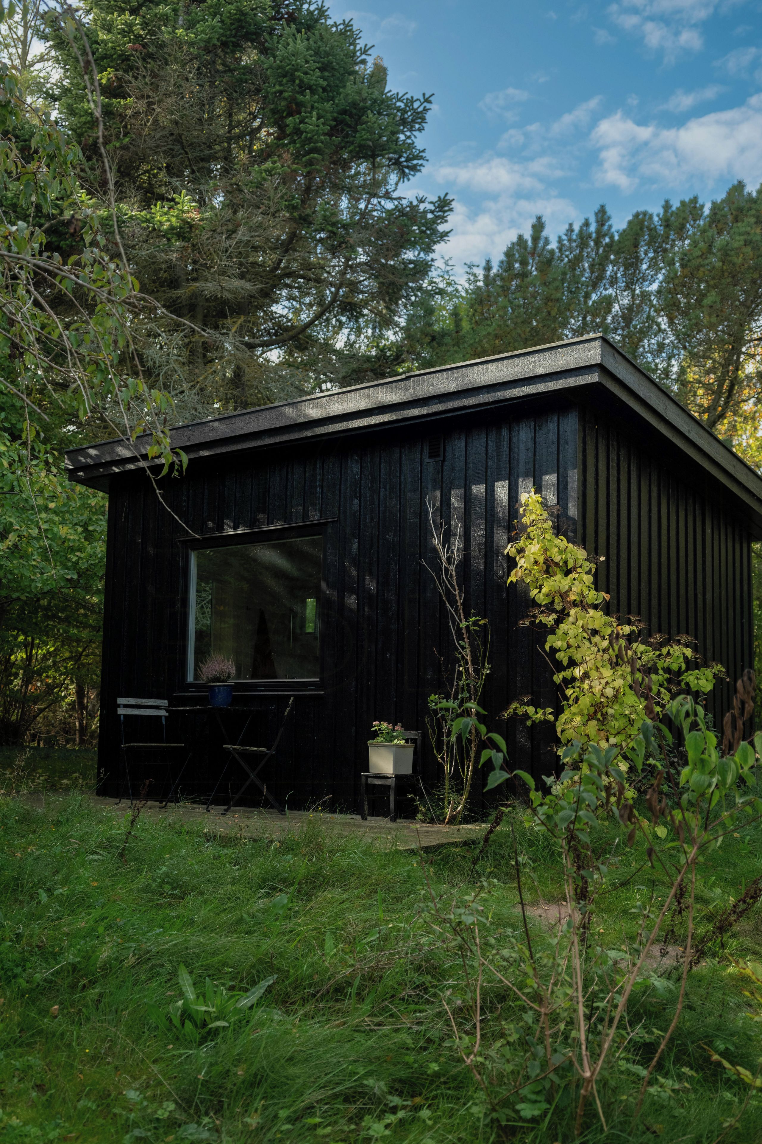 A small, dark wooden cabin with a large window, surrounded by lush greenery and trees.