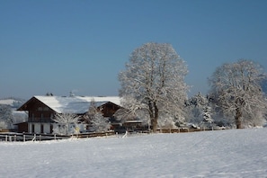 A snow-covered landscape with a wooden chalet and a large tree. - Sonnenkopf in the country house Alpenglühen (Bolsterlang-Kierwang)