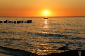 Ein Sonnenuntergang über einem ruhigen Meer mit einem Steg und einer Möwe am Ufer.