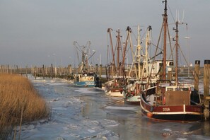 A frozen body of water with several fishing boats docked. - Wadden Sea walkers - calm winds (Wurster Nordseeküste)