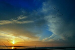 A sunset over a body of water with a clear sky and silhouettes of trees. - Wadden Sea walkers - calm winds (Wurster Nordseeküste)