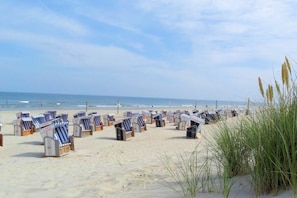 Ein Strand mit Reihen von Liegestühlen und Sonnenschirmen, ein sandiger Uferstreifen und das Meer im Hintergrund.