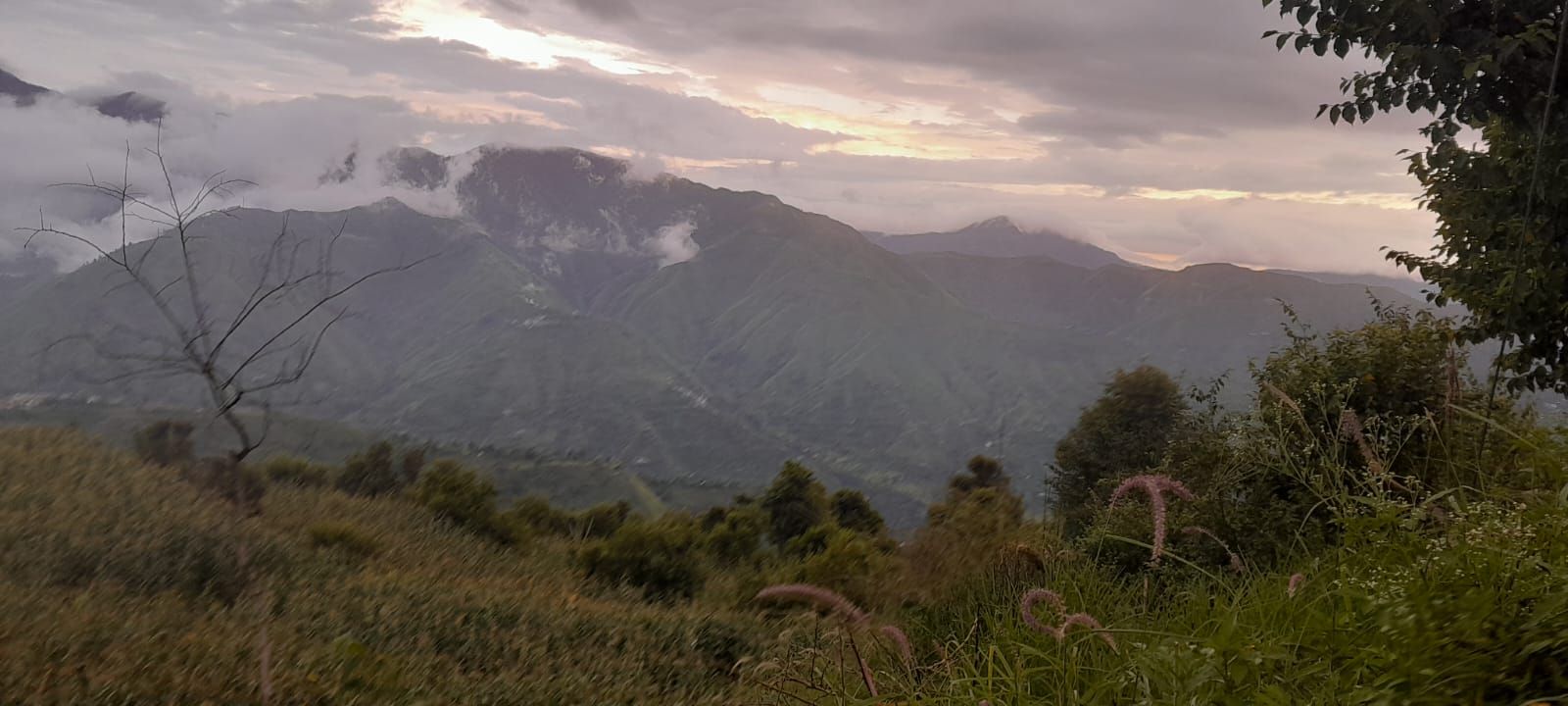 A mountainous landscape with a view of distant peaks and a foreground of grass and shrubs.