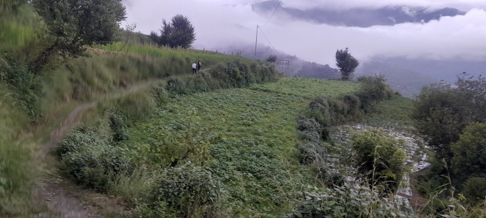 Paisagem acidentada com um caminho estreito e vegetação densa.