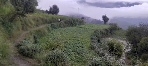 Paisatge amb zones de relleu accidentat, un camí estret i vegetació abundant.