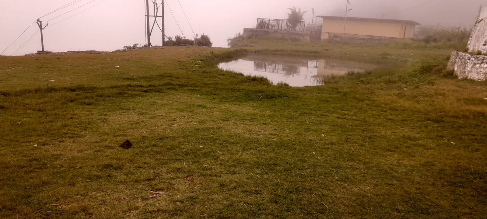 A grassy area with a small pond, a utility pole, and a building in the background.
