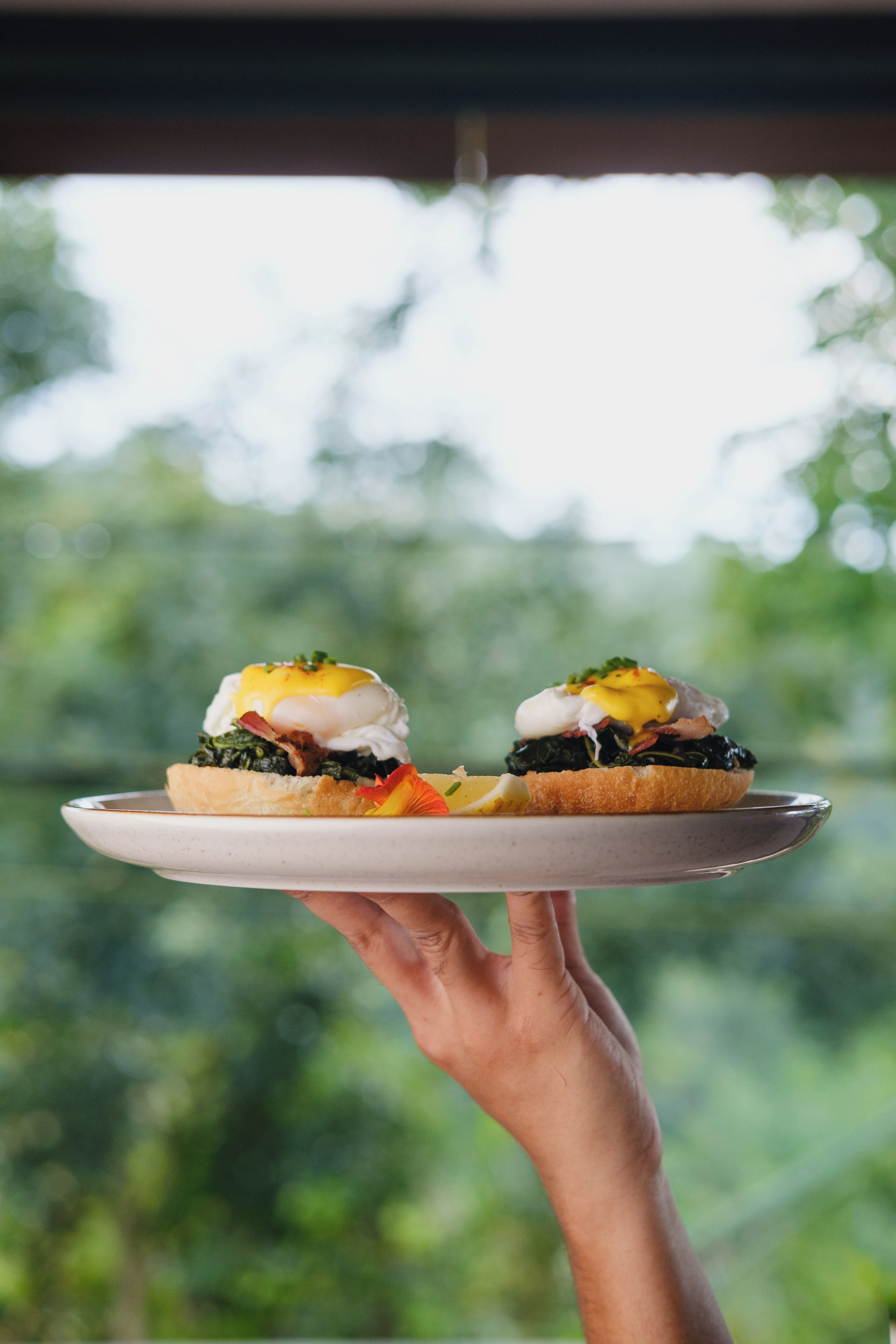 A person holding a plate with two eggs benedict sandwiches.