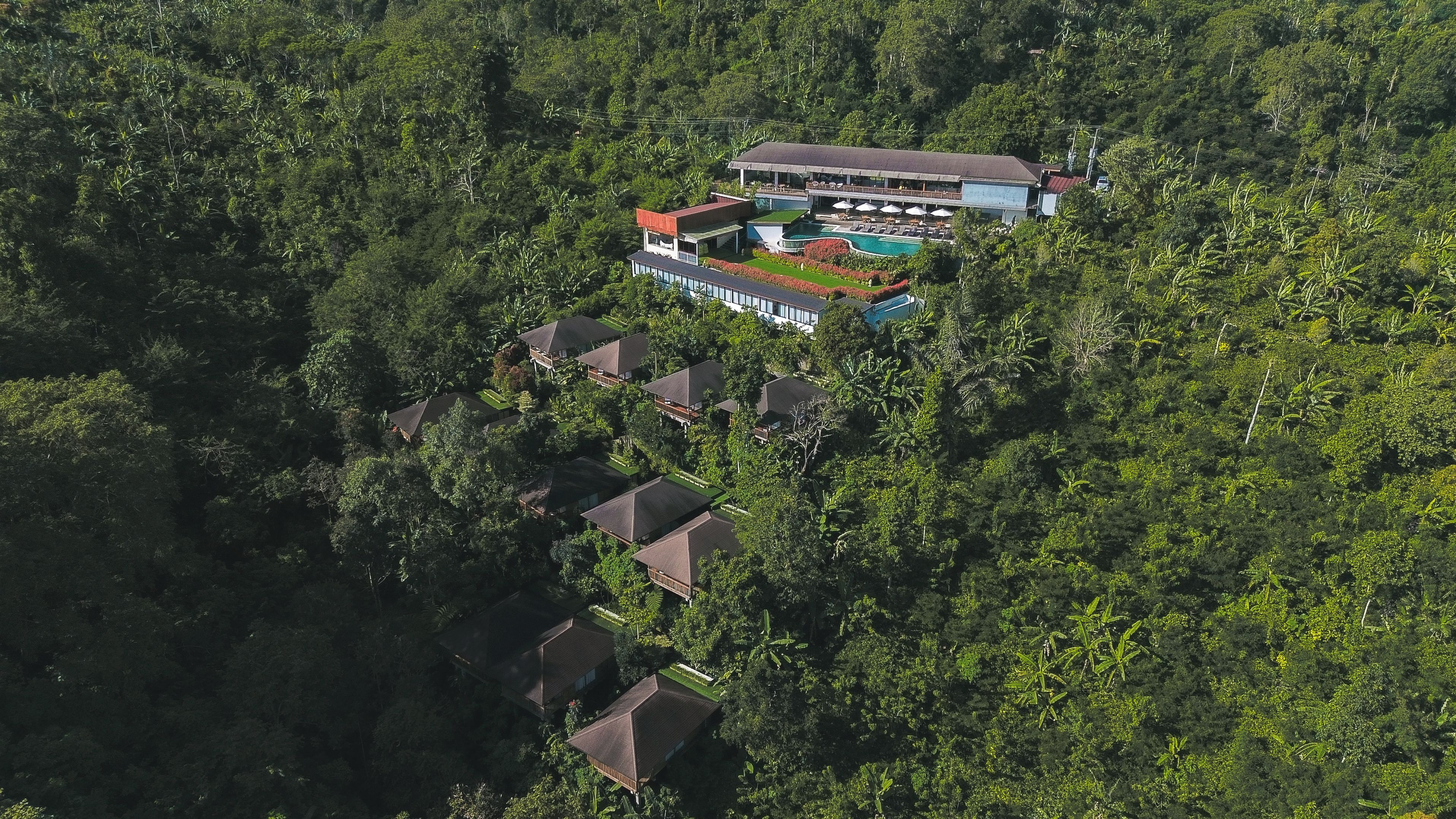 Vista aérea de un resort con varias edificaciones, una piscina y abundante vegetación.