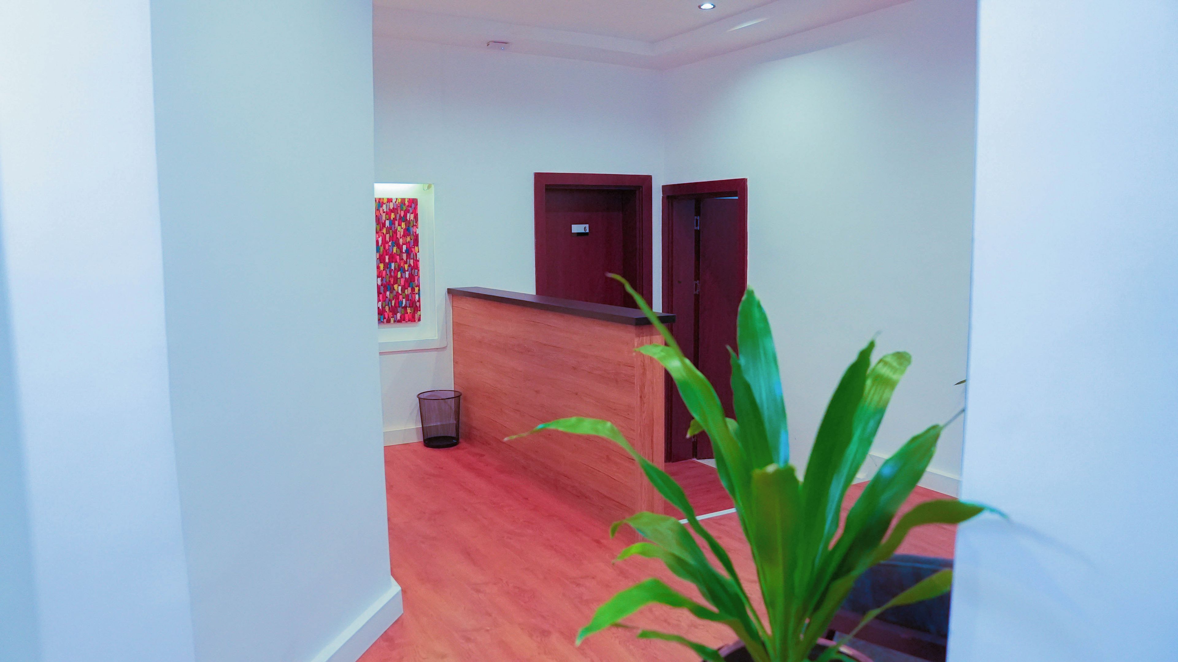 Un pasillo con alfombra roja, un mostrador de recepción de madera y una planta.