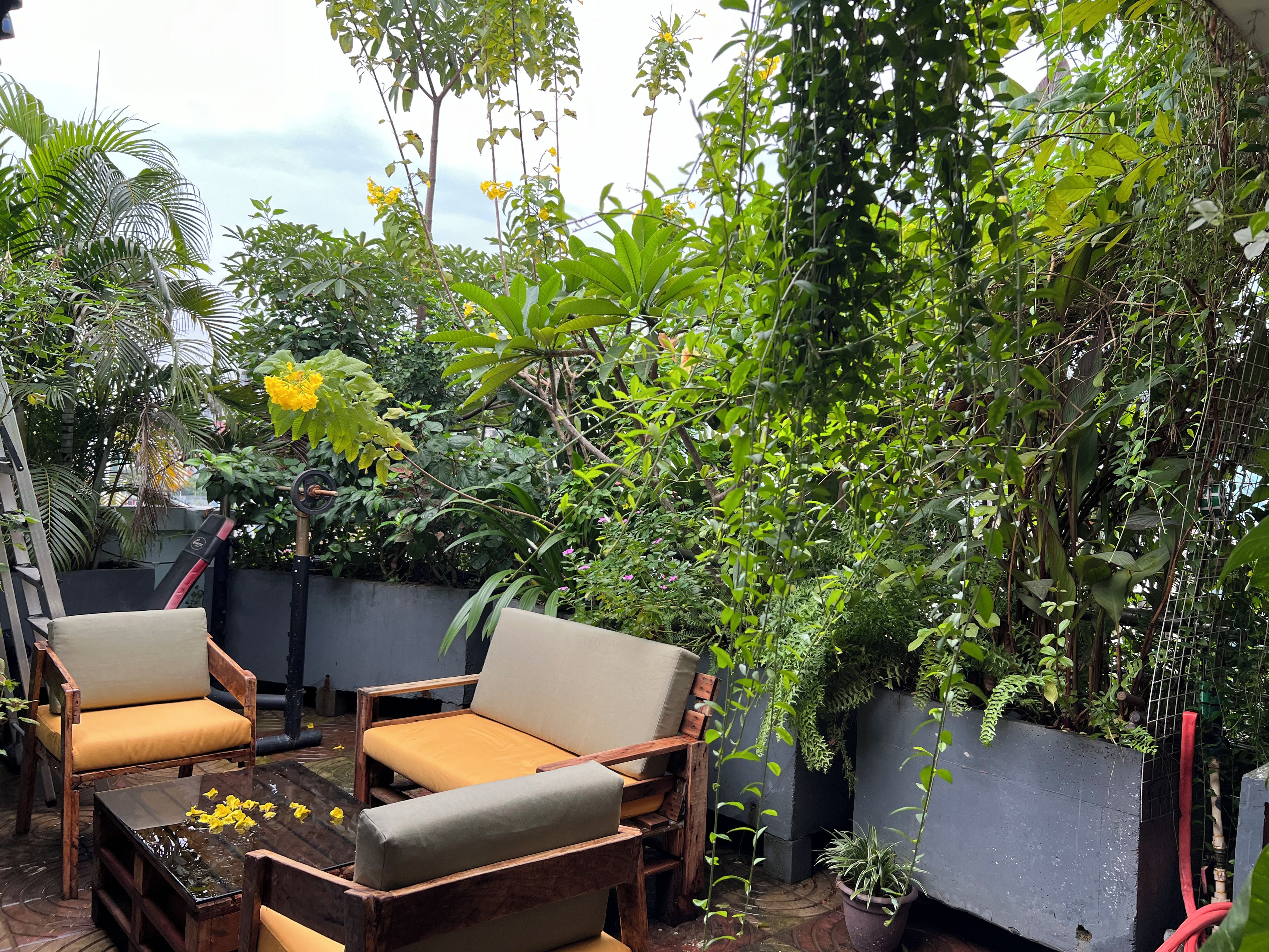 A patio area with wooden furniture, including chairs and a table, surrounded by lush greenery and potted plants.