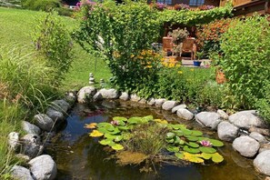 Ein Garten mit Teich, umgeben von Steinen und Pflanzen.