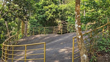 Una escalera de madera conduce a una plataforma con barandilla metálica, rodeada de follaje y árboles densos.