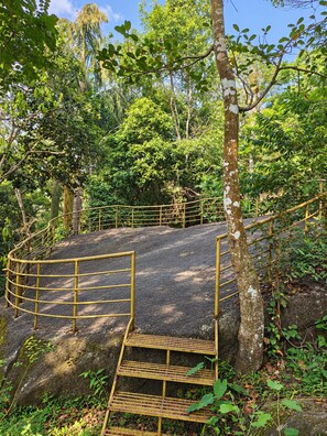 A wooden staircase leading up to a platform with a metal railing, surrounded by dense foliage and trees.