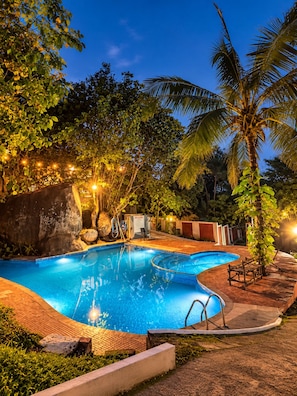Una piscina de borde curvo, rodeada de rocas y plantas, con una palmera al fondo.