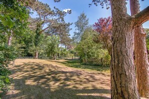 Ein Park mit verschiedenen Bäumen und blauem Himmel.