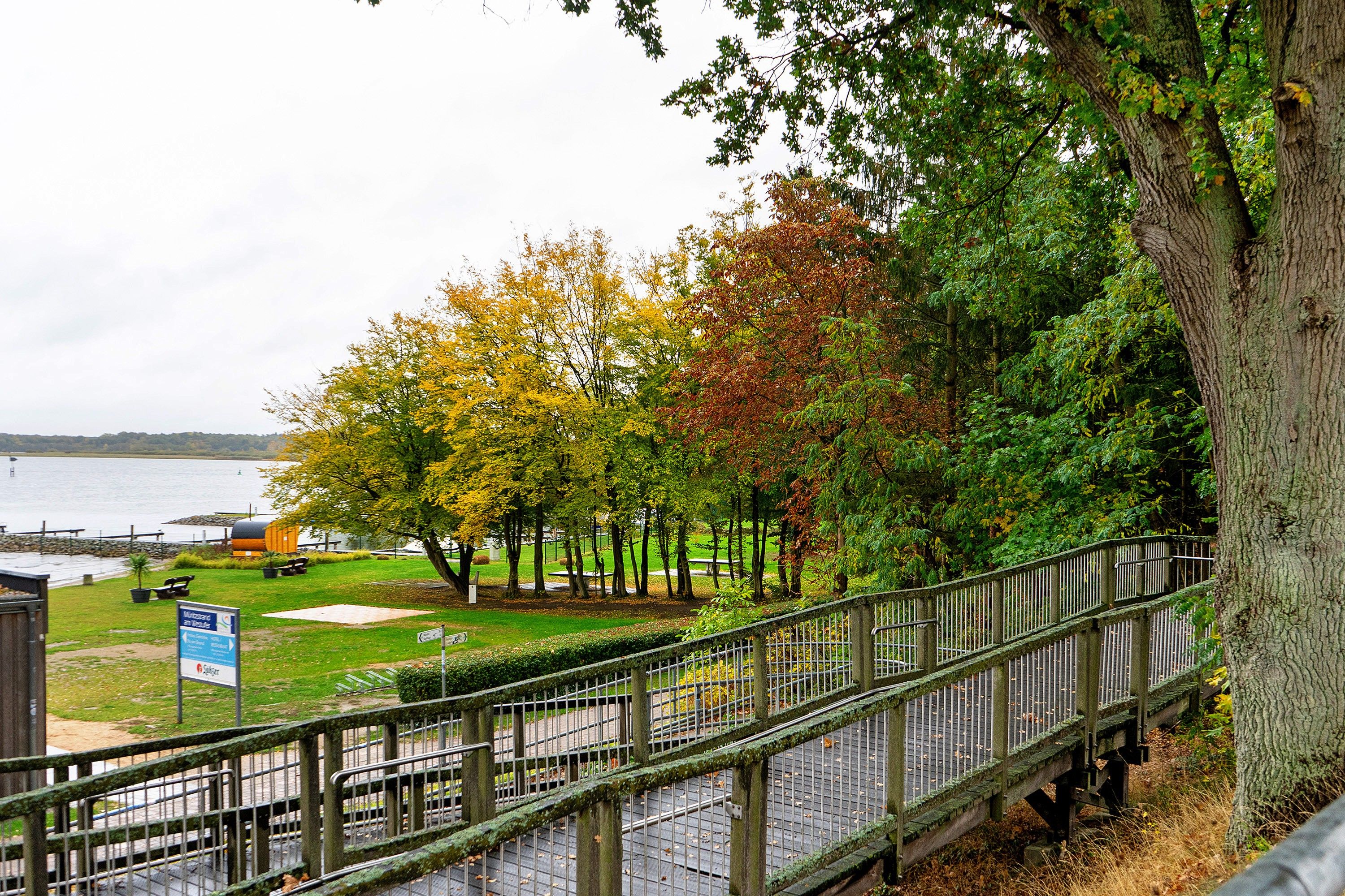Een park met een houten looppad, bomen met herfstkleuren en een waterpartij op de achtergrond.
