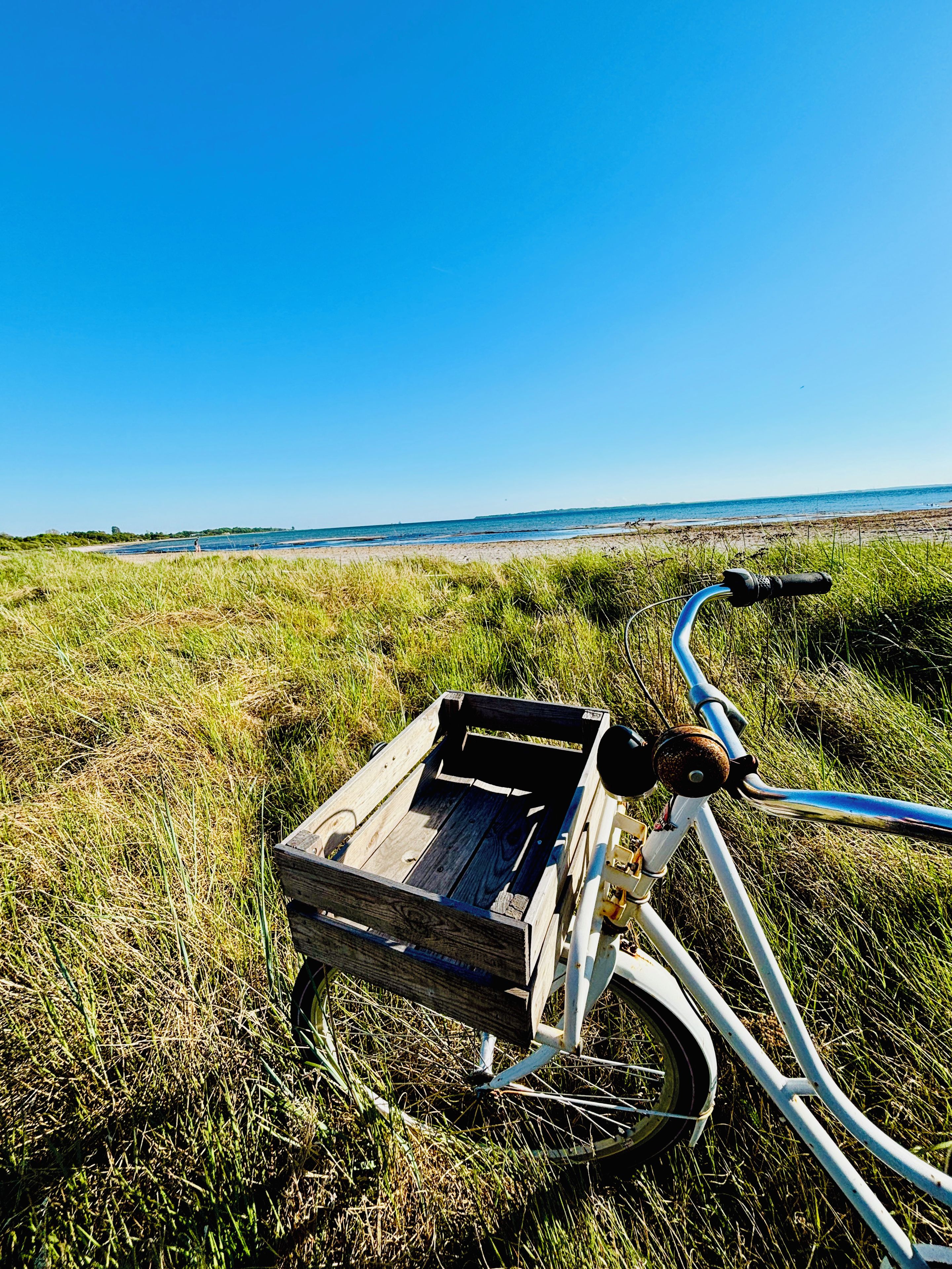 Una bicicleta amb una caixa de fusta fixada al davant, aparcada sobre gespa, amb una platja i l'oceà al fons.