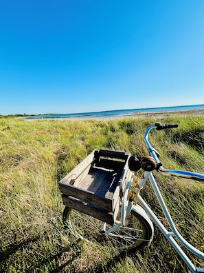 A bicycle with a wooden box attached to the front, parked on grass with a beach and ocean in the background. - Flexible living by the sea for large families (Helsingborg)