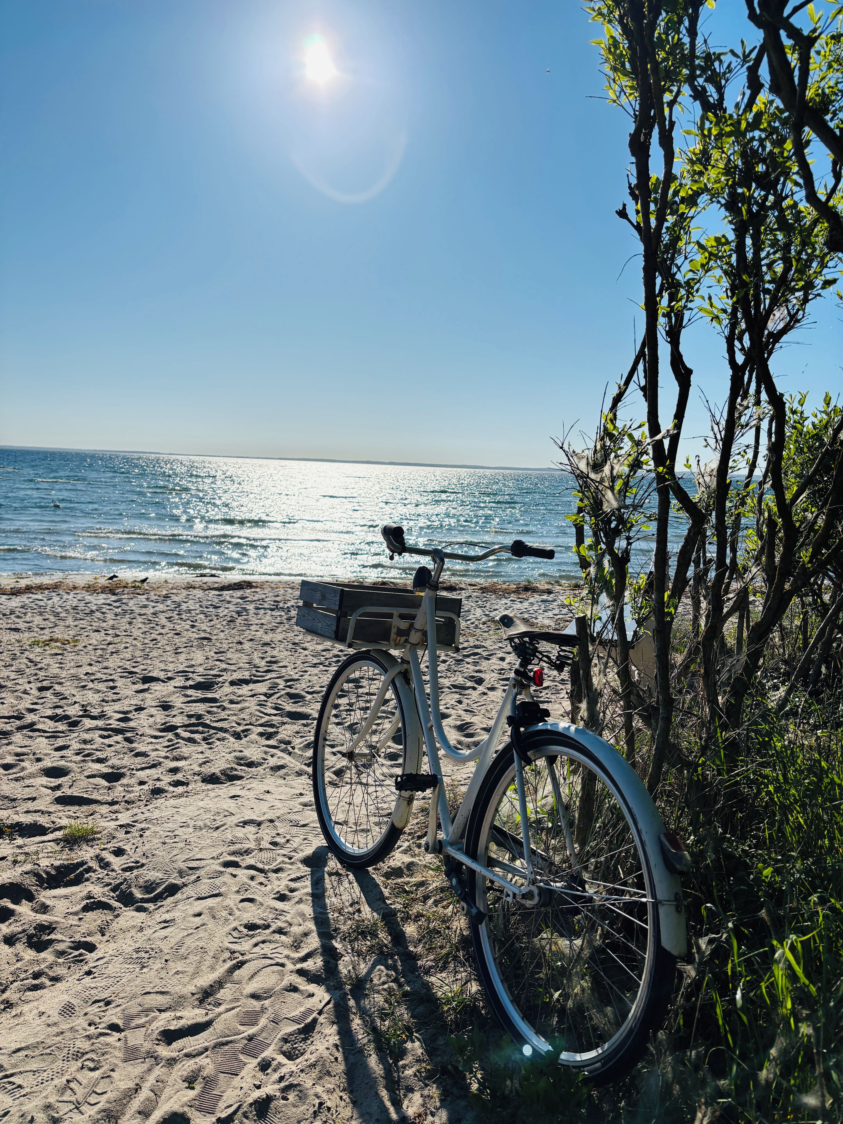 A bicycle parked on a sandy beach with a clear view of the ocean and a bright sun in the sky.