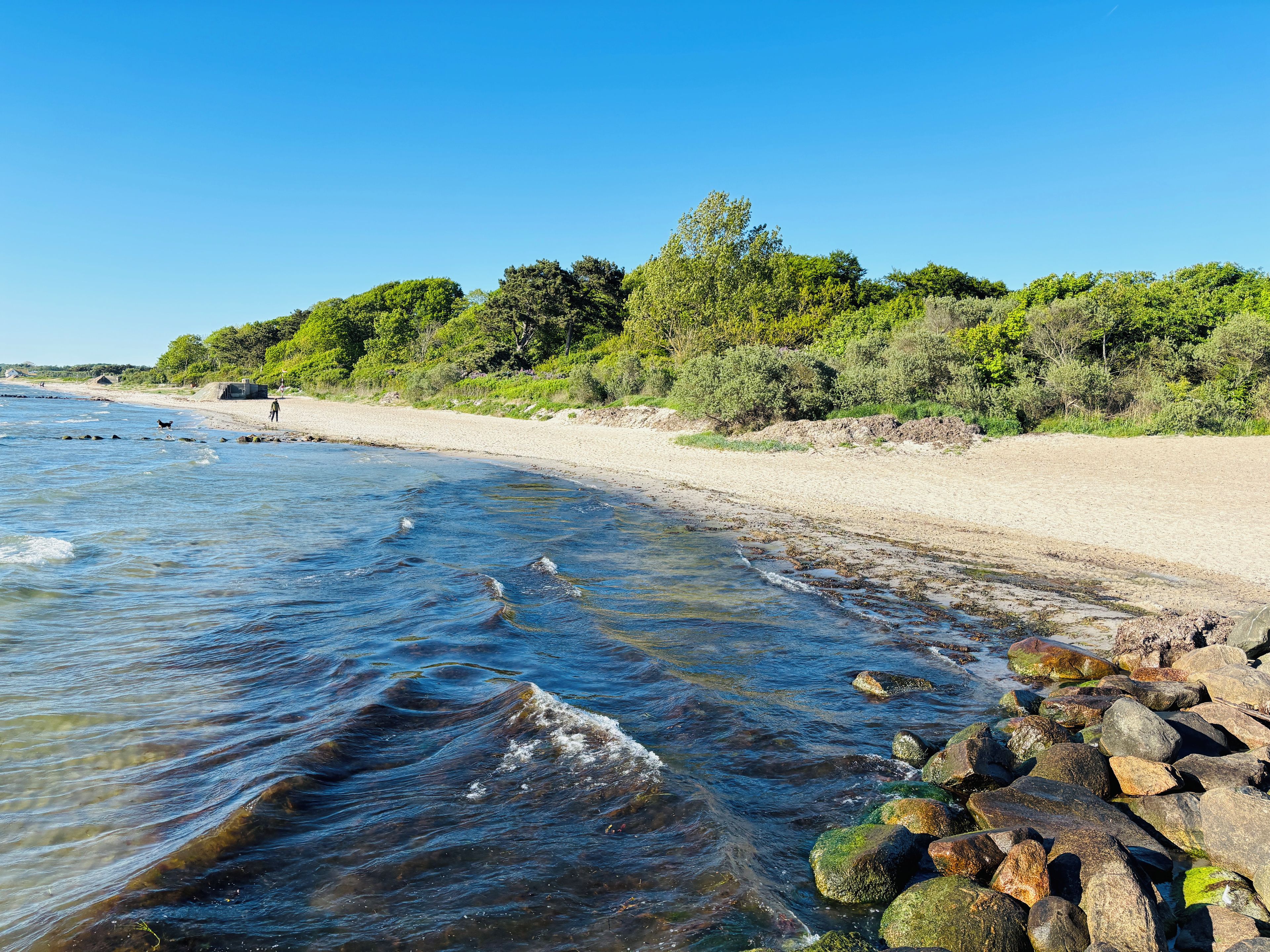 Ein Strand mit klarem Wasser, Felsen und viel Grün.