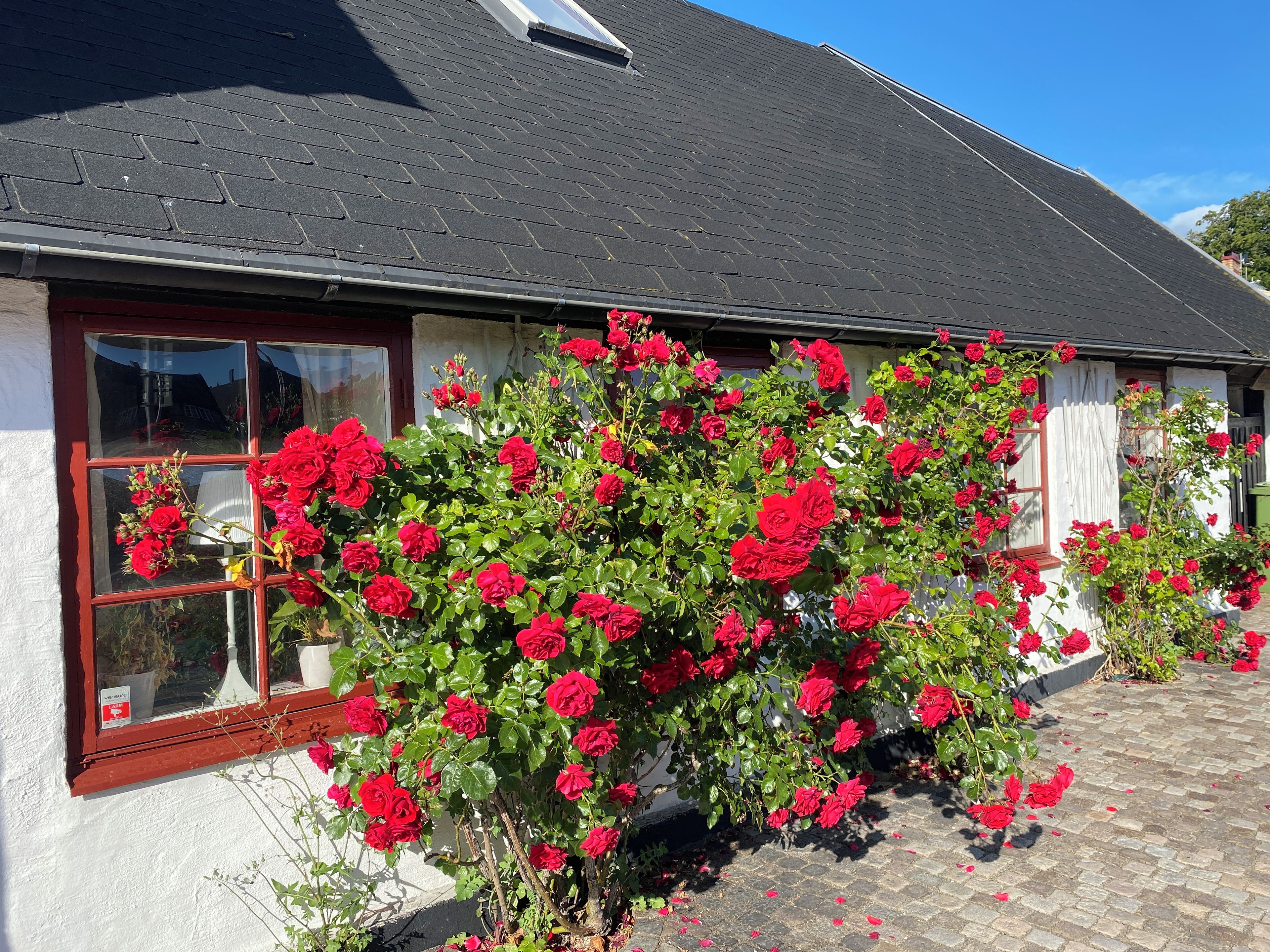 Una casa con techo de ladrillo, una ventana con marco rojo y un arbusto de flores rojas.
