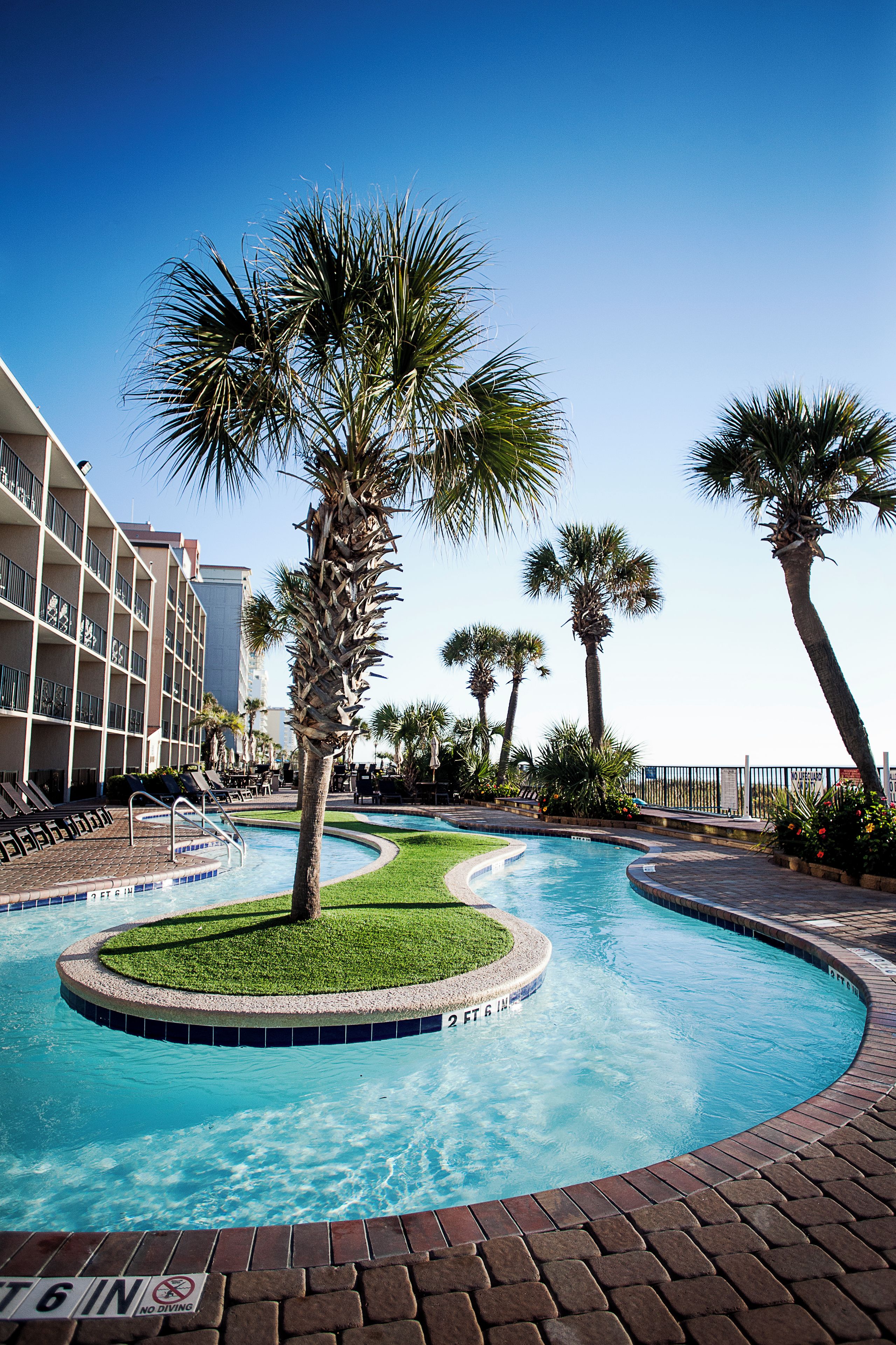 A swimming pool with a surrounding brick walkway, palm trees, and a building with balconies.