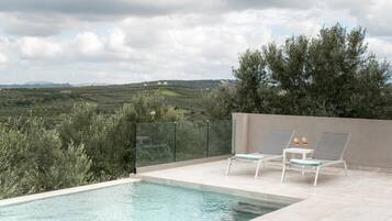Ein Schwimmbecken mit zwei Liegestühlen und einem Tisch, umgeben von einem Glaszaun, mit Blick auf eine hügelige Landschaft.