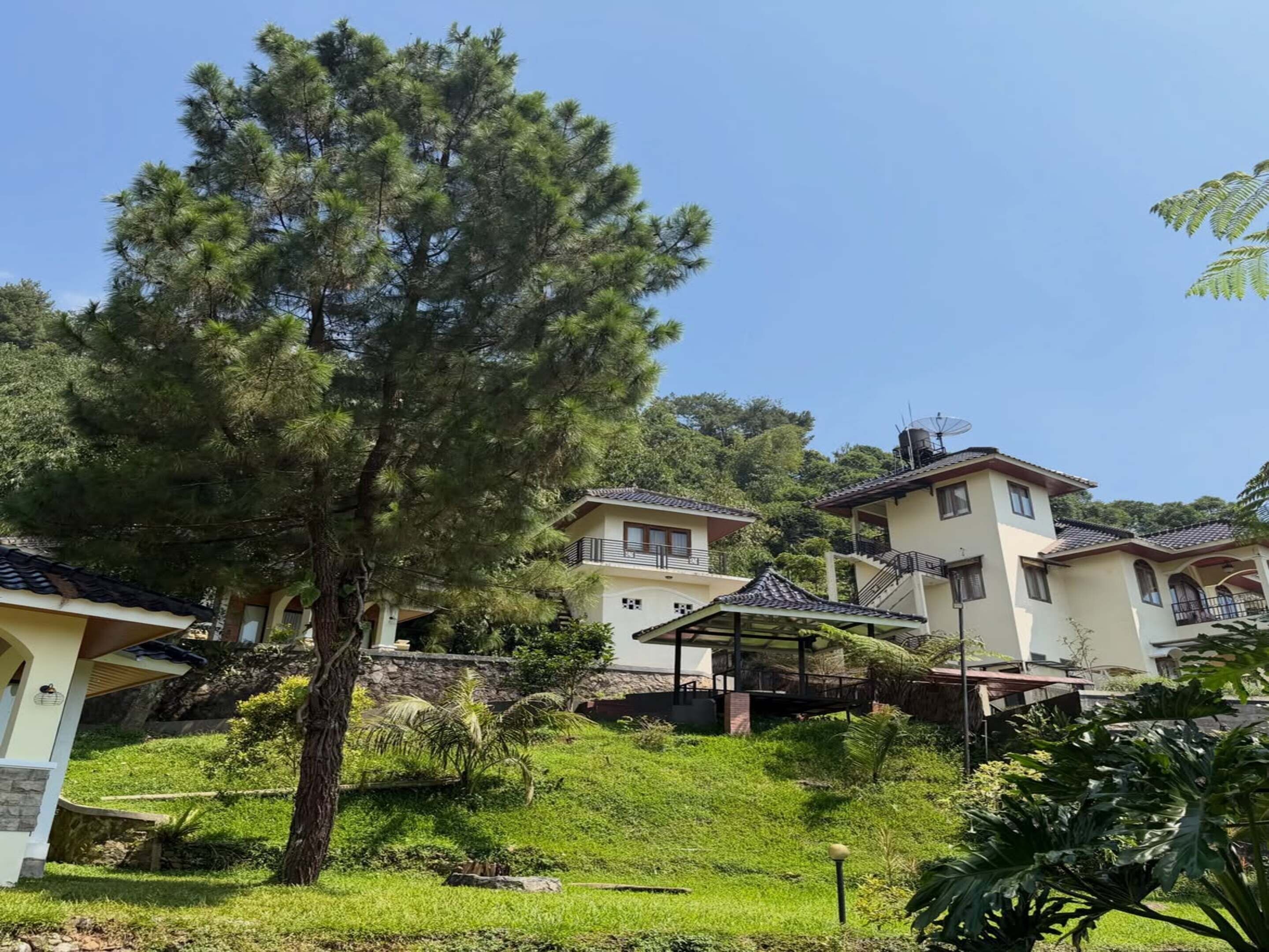A residential area with multiple houses, a large tree, and a well-maintained lawn.
