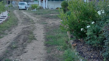 A rural road leading to houses with a dirt path and greenery.