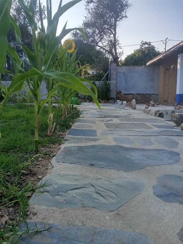 A stone pathway leading to a building with a wooden door.