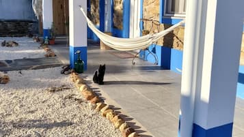 A house with a tiled patio, a hammock, and a cat.