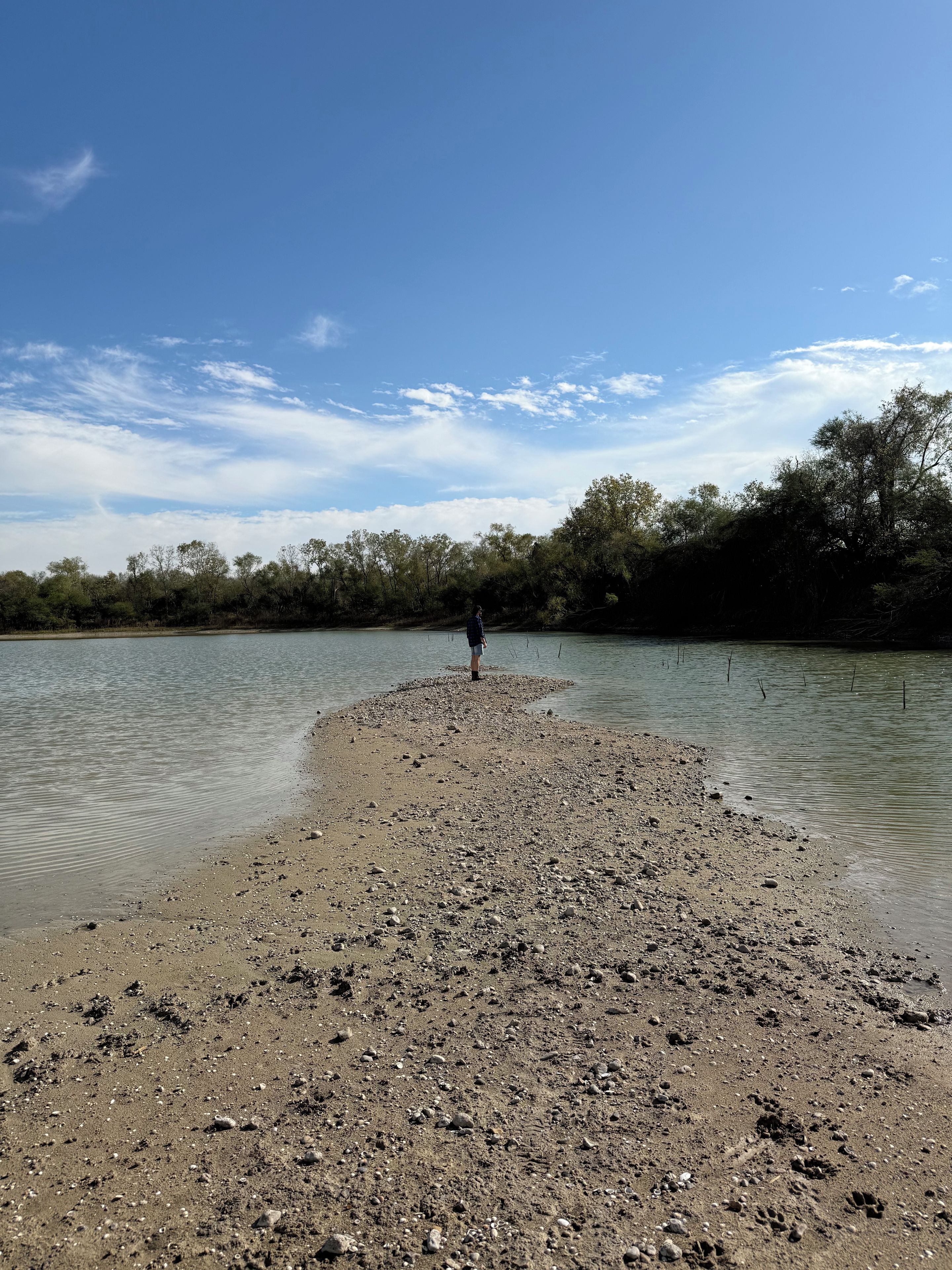 A beach with a person standing on the shore, trees in the background, and calm water.