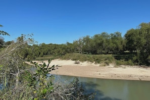 Een natuurlandschap met een rivier, bomen en een zandgebied.