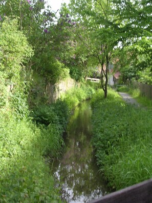 A tranquil river with dense greenery and trees. - Vacation Rental on the Ilsenbach, 105 m², Right in the Heart of the Village (Lügde)
